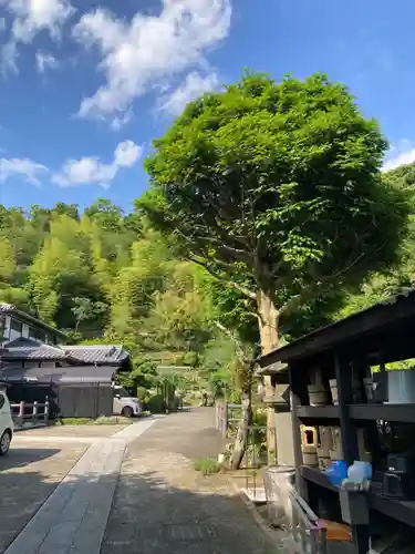 白雲庵(神奈川県)
