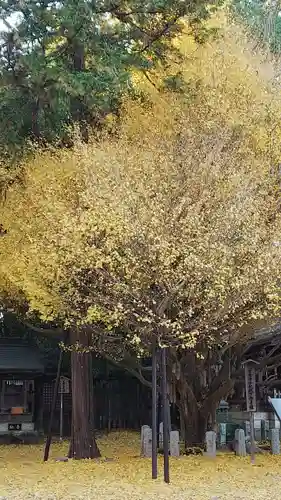 秩父神社の自然