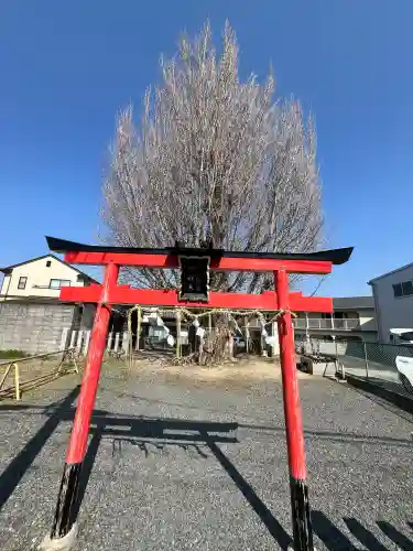 八大龍王辨財天の{uncategorized: "未分類", other: "その他", undefined: "問題あり", building: "その他建物", grave: "お墓", sacred_gate: "鳥居", guardian: "狛犬", statue: "像", buddha: "仏像", history: "歴史", nature: "自然", garden: "庭園", animal: "動物", pagoda: "塔", temizu: "手水舎", mountain_gate: "山門・神門", sanctuary: "本殿・本堂", subordinate: "末社・摂社", art: "芸術", scenery: "景色", jizo: "地蔵", ema: "絵馬", goshuin: "御朱印", omikuji: "おみくじ", items: "授与品その他", amulet: "お守り", goshuincho: "御朱印帳", eats: "食事", festival: "お祭り", votive_dance: "神楽", shichigosan: "七五三参", wedding: "結婚式", experience: "体験その他", initially: "初詣", around: "周辺", anti_infection: "感染症対策"}