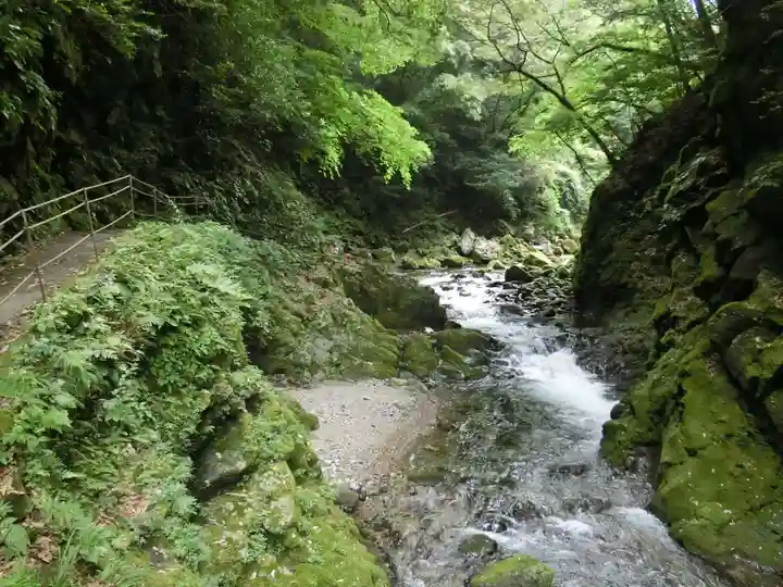 天岩戸神社の自然