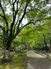 高乗寺(東京都)