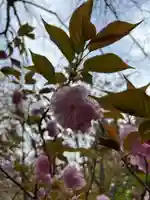 大宮温泉神社(栃木県)