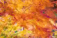 善光寺(山形県)