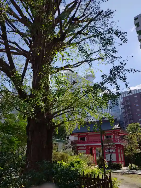 成子天神社(東京都)