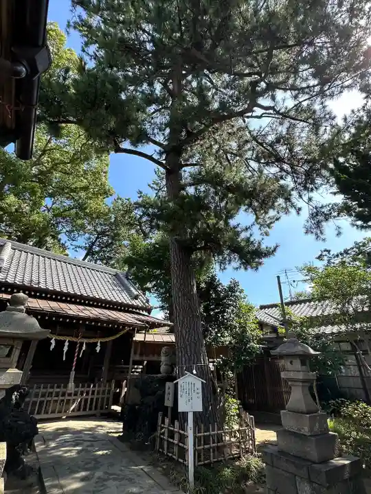神明社(千葉県)