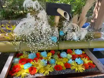 白山神社(新潟県)