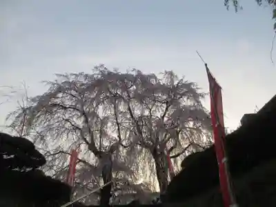 身照寺(岩手県)