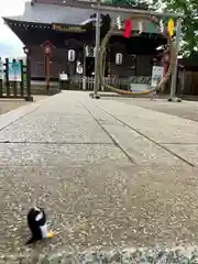 麻賀多神社(千葉県)