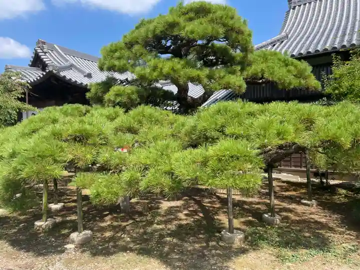 法然寺(香川県)