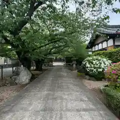 光徳寺(三重県)