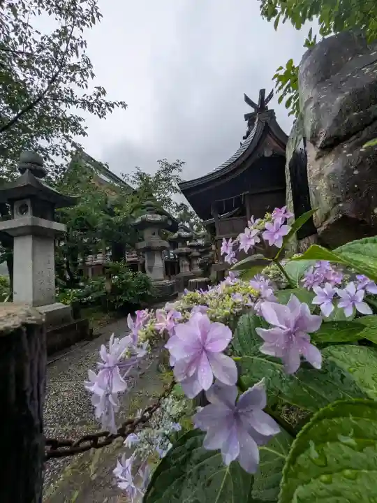 石清尾八幡宮(香川県)