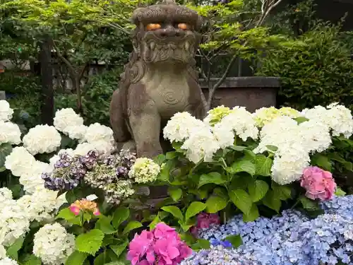白山神社(東京都)