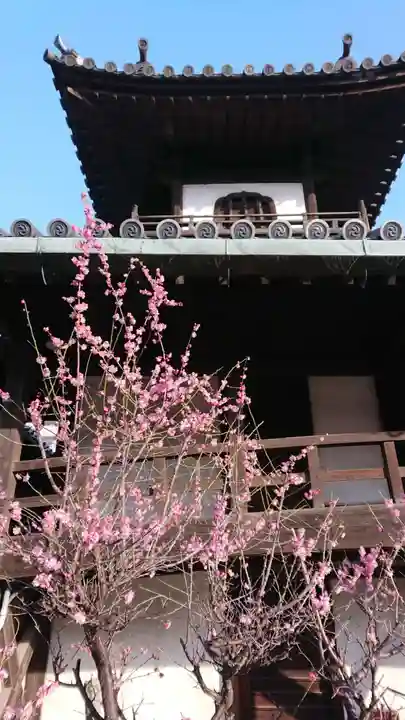 本興寺のその他建物