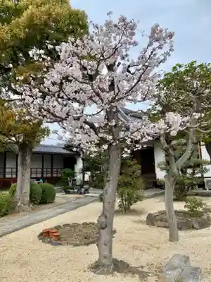 實相寺（実相寺） (京都府)