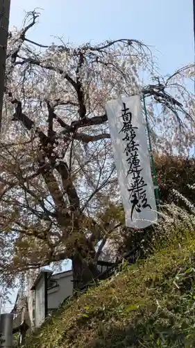 玄隆寺(京都府)