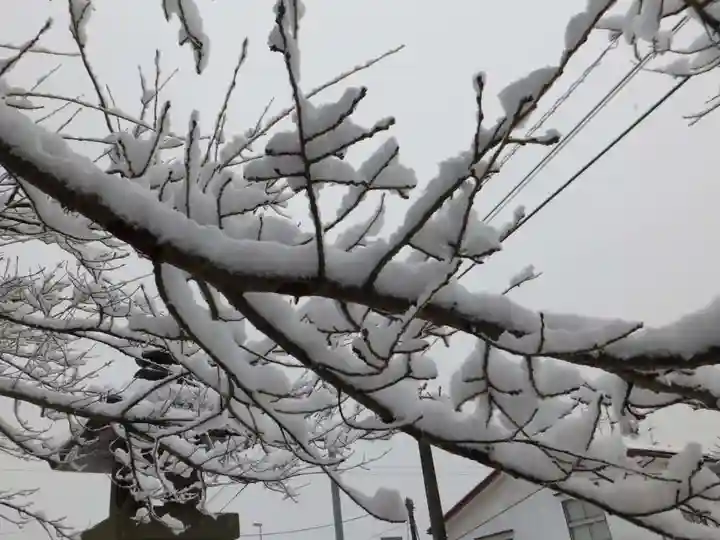 徳佐八幡宮(山口県)