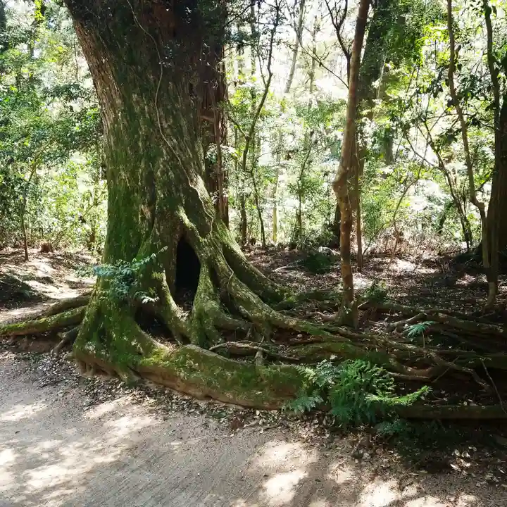 鹿島神宮の自然