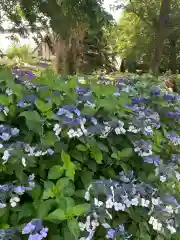 三宮社(愛知県)