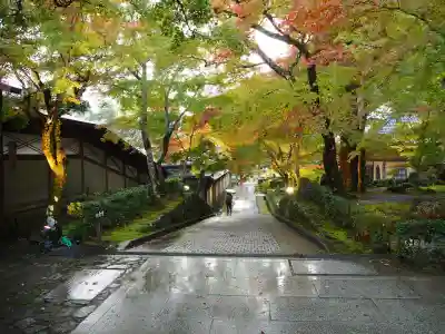 永源寺の{uncategorized: "未分類", other: "その他", undefined: "問題あり", building: "その他建物", grave: "お墓", sacred_gate: "鳥居", guardian: "狛犬", statue: "像", buddha: "仏像", history: "歴史", nature: "自然", garden: "庭園", animal: "動物", pagoda: "塔", temizu: "手水舎", mountain_gate: "山門・神門", sanctuary: "本殿・本堂", subordinate: "末社・摂社", art: "芸術", scenery: "景色", jizo: "地蔵", ema: "絵馬", goshuin: "御朱印", omikuji: "おみくじ", items: "授与品その他", amulet: "お守り", goshuincho: "御朱印帳", eats: "食事", festival: "お祭り", votive_dance: "神楽", shichigosan: "七五三参", wedding: "結婚式", experience: "体験その他", initially: "初詣", around: "周辺", anti_infection: "感染症対策"}