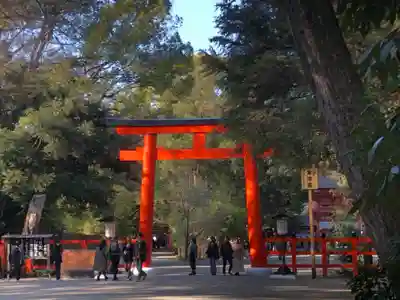 賀茂御祖神社（下鴨神社）(京都府)