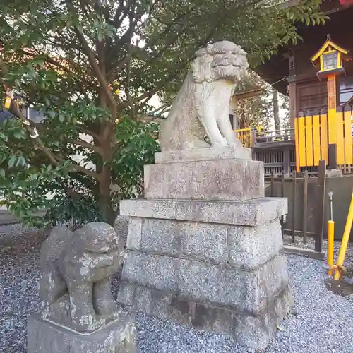 長良神社の狛犬