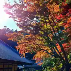 方廣寺(静岡県)