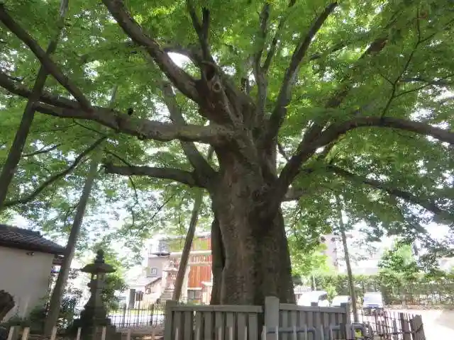 神明宮(石川県)