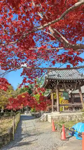 乙訓寺(京都府)
