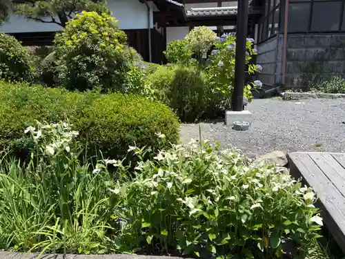 東福禅寺（東福寺）(京都府)