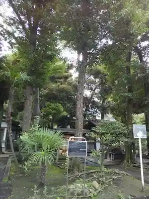 井草八幡宮(東京都)