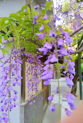 國領神社の自然