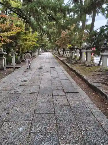 長浜八幡宮(滋賀県)