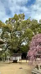 屯倉神社(大阪府)