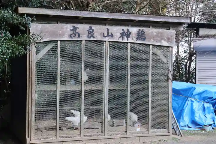 高良大社(福岡県)