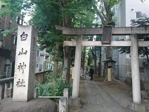 白山神社の鳥居