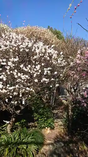 小村井 香取神社(東京都)