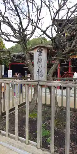 太宰府天満宮の自然