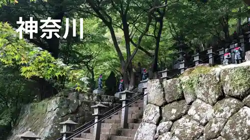 龗神の神のその他建物