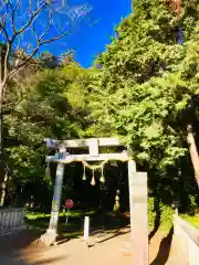 阿弥神社の鳥居