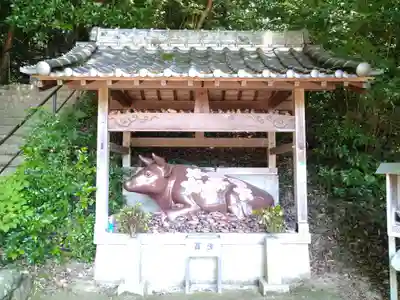 田倉牛神社の狛犬