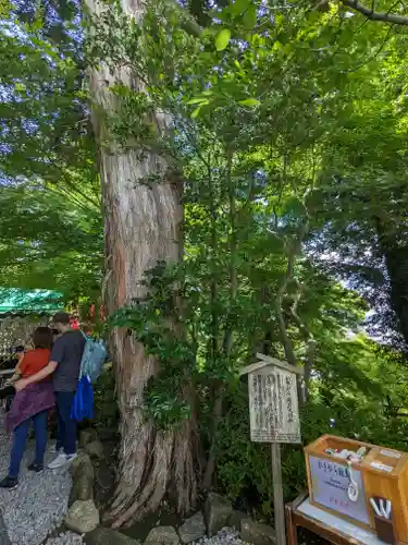 長谷寺(神奈川県)