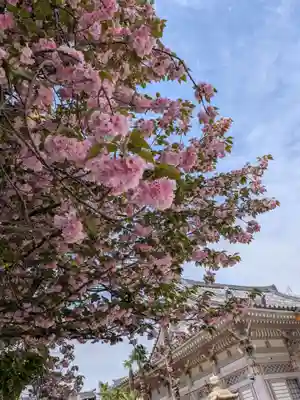 荘厳寺(東京都)