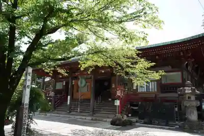 金乗院放光寺(埼玉県)