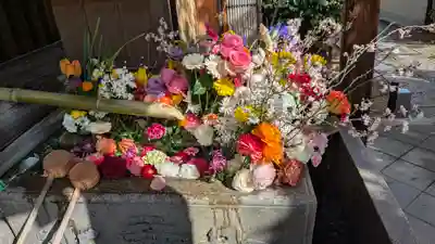 勝林寺(京都府)