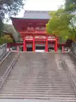 近江神宮の御朱印