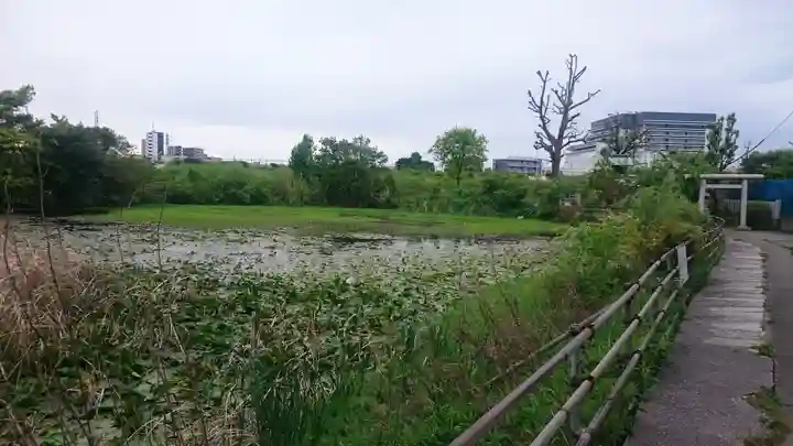 青龍神社の周辺