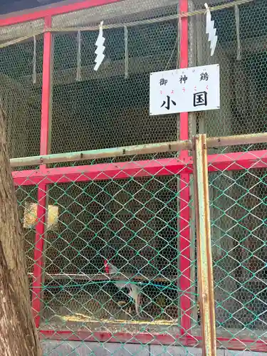 伊古奈比咩命神社(静岡県)