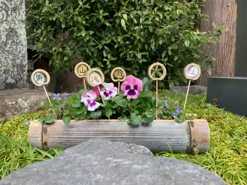 須山浅間神社の庭園