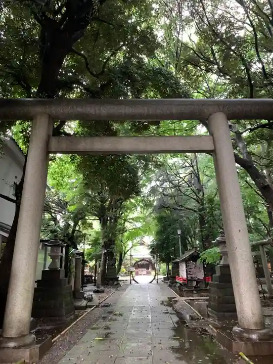 ときわ台天祖神社の鳥居