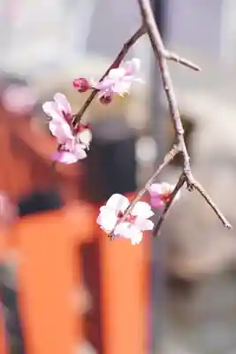 瀧宮神社(広島県)
